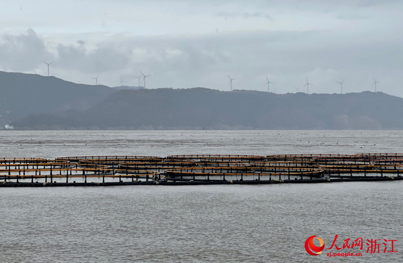 全國最大的深水抗風浪網箱群。人民網記者 王麗瑋攝