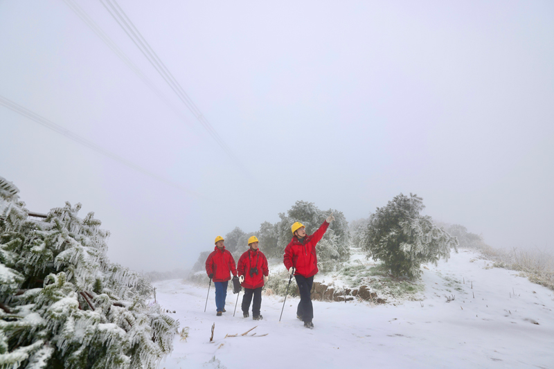 浙江紹興供電公司輸電運檢員工對覆冰線路進行巡視。許楊攝