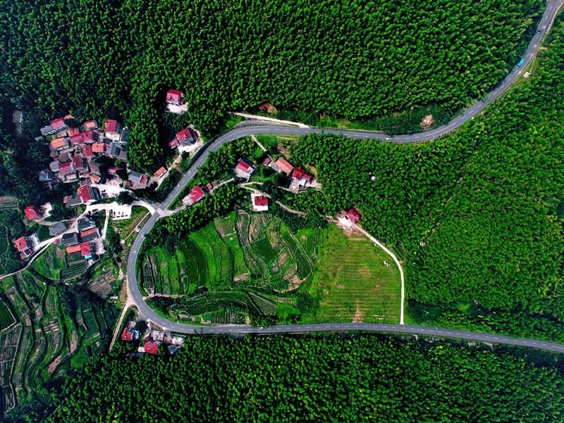 近年來，湖州市循序漸進推進農村公路的建、管、養、運全面發展。浙江省交通運輸廳供圖