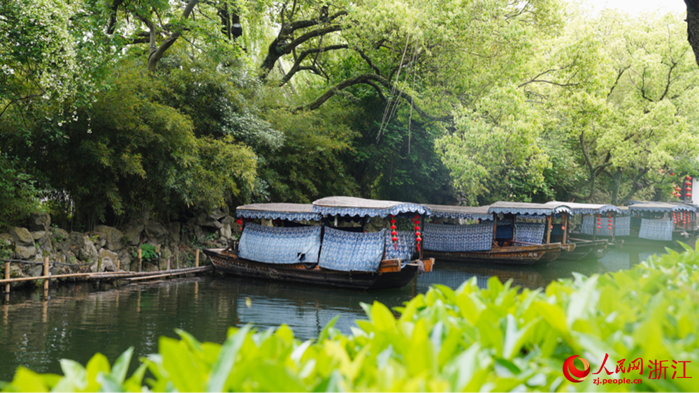 烏篷船?？吭谀蠞」沛傄惶幇哆?。人民網 陳陸洵攝