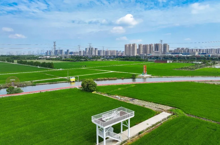 找到了！鎮海版“阿勒泰”