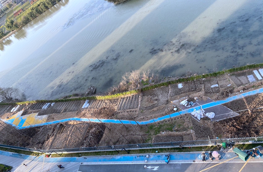 綠地變菜地。受訪者供圖