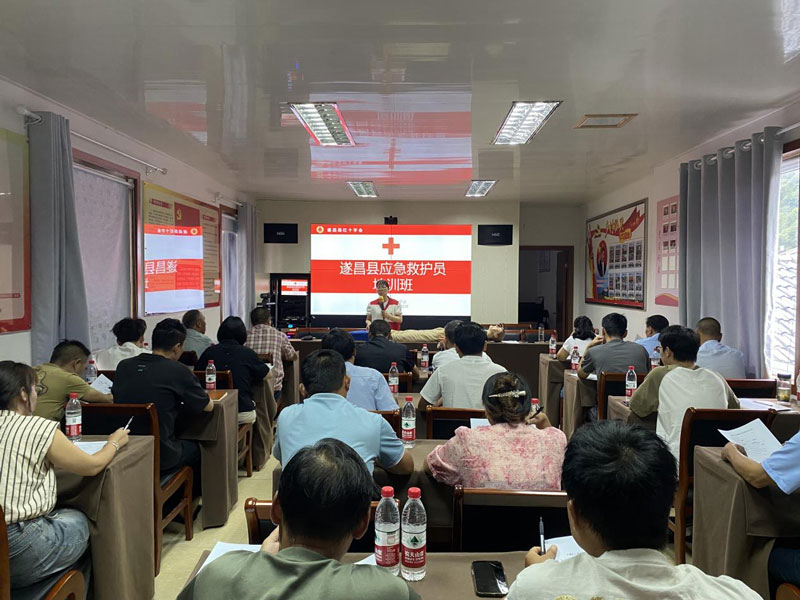 培訓現場。遂昌縣委宣傳部供圖
