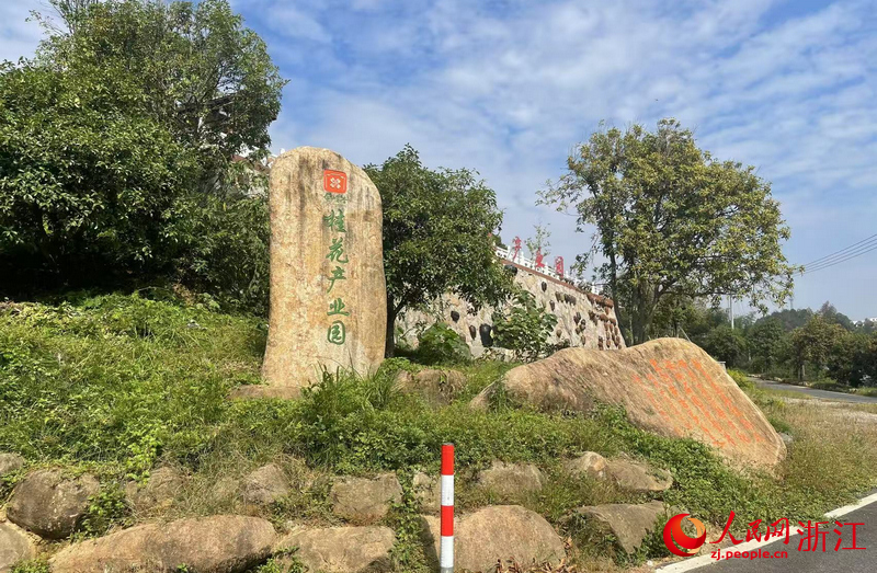 母嶺村桂花產業園。人民網記者 王麗瑋攝