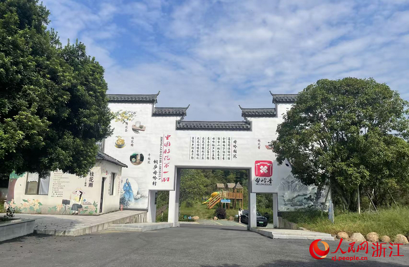 母嶺村致力打造“中國桂花第一村”。人民網記者 王麗瑋攝