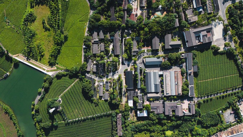 徑山茶文化公園一期樣板段“夢山徑”。余杭文旅集團供圖