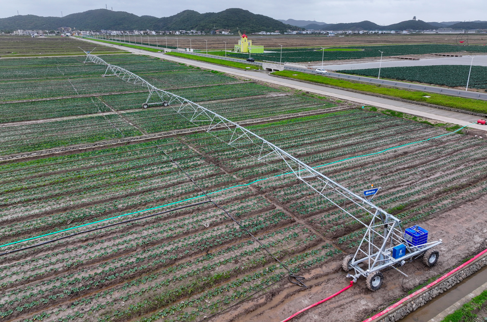 工作中的平移式噴灌機。受訪者供圖