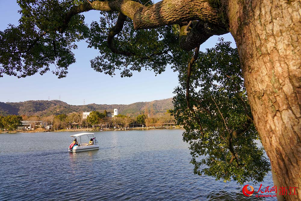 寧波市江北區慈城古縣城，市民游客泛舟慈湖。人民網 章勇濤攝