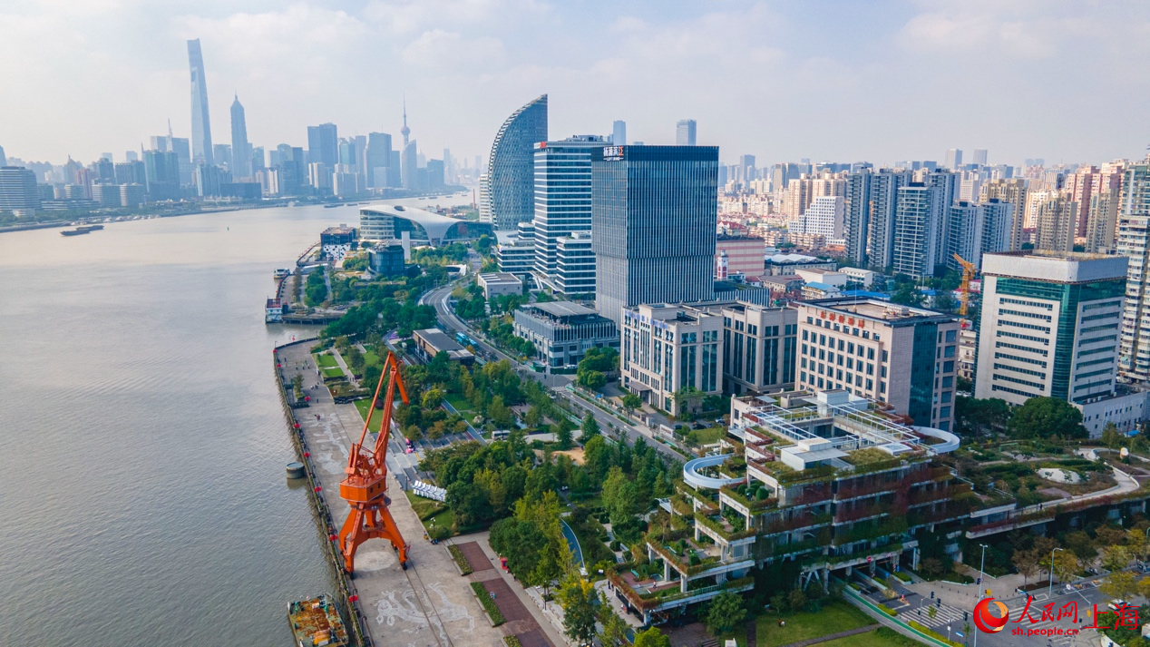 遠眺楊浦濱江。 人民網記者 王初攝