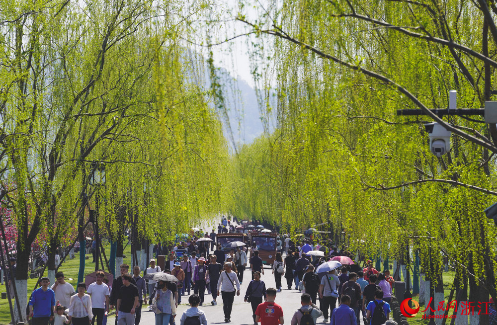 3月26日，杭州西湖畔游人如織。人民網記者 郭揚攝
