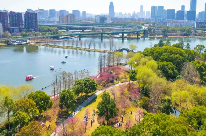 刷屏預警！江北這里花開成海，美到驚艷！