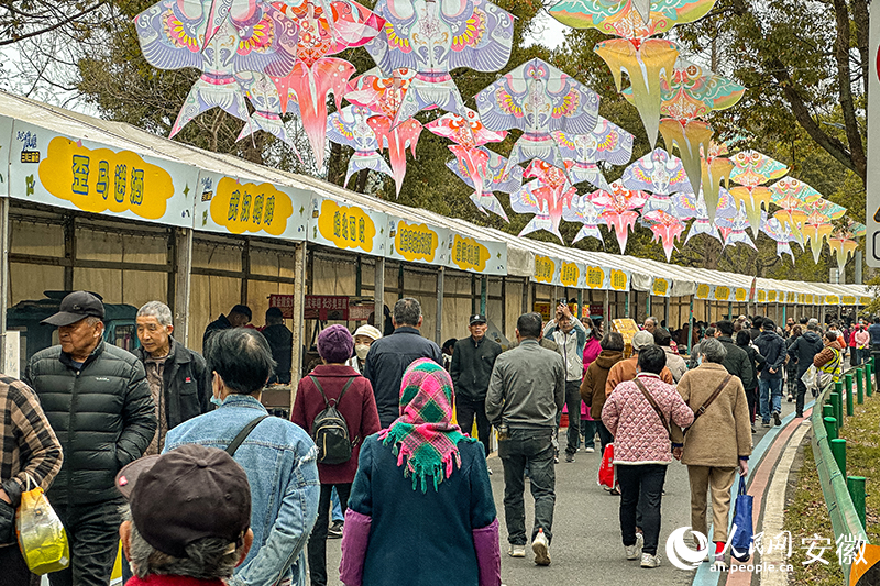 廟會的熱鬧景象。人民網記者 李希蒙攝