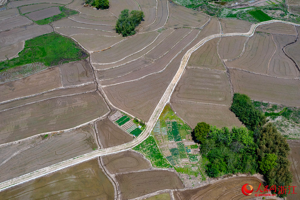 空中俯瞰寧波市寧?？h前童鎮大鄭村，翻耕后的水田阡陌縱橫。人民網 章勇濤攝