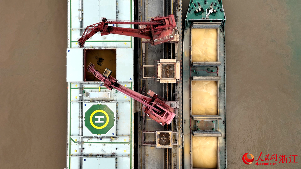 船上滿載的大豆正借助碼頭門機抓斗運轉至二程船上。人民網 陳陸洵攝