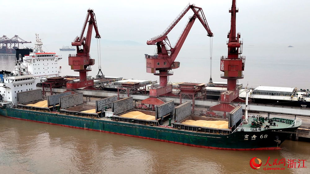 在寧波舟山港老塘山作業區三期2號泊位，一艘貨輪正在進行糧食接卸作業。人民網 陳陸洵攝