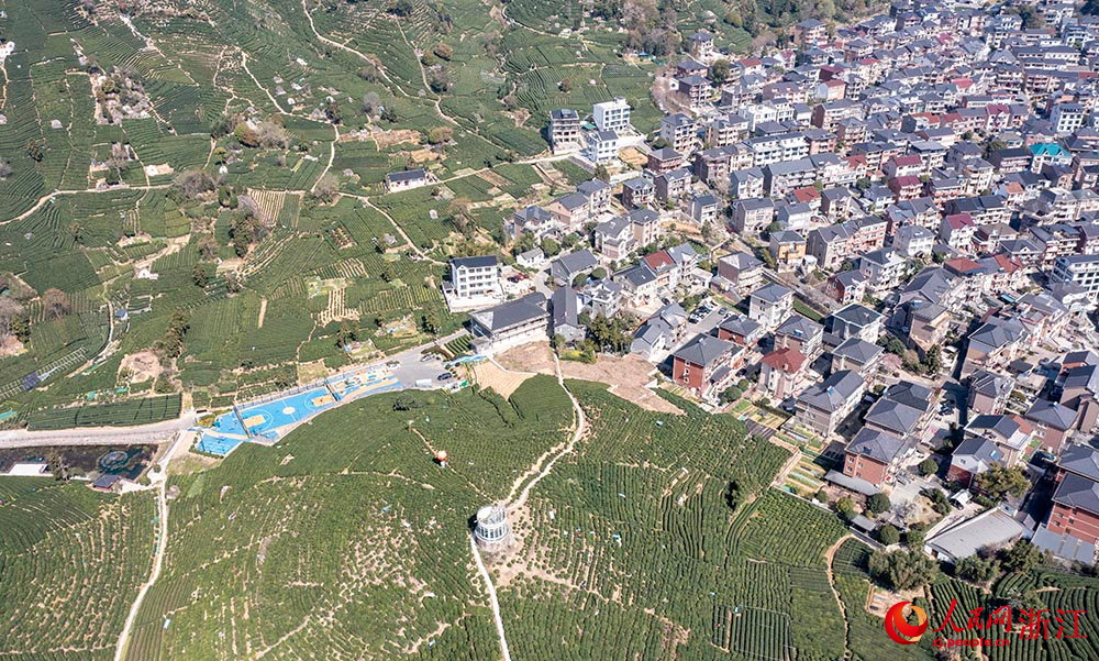 空中俯瞰杭州市西湖區轉塘街道桐塢村，茶山連綿、風景如畫，家家戶戶都以茶為生、靠茶為業。人民網 章勇濤攝