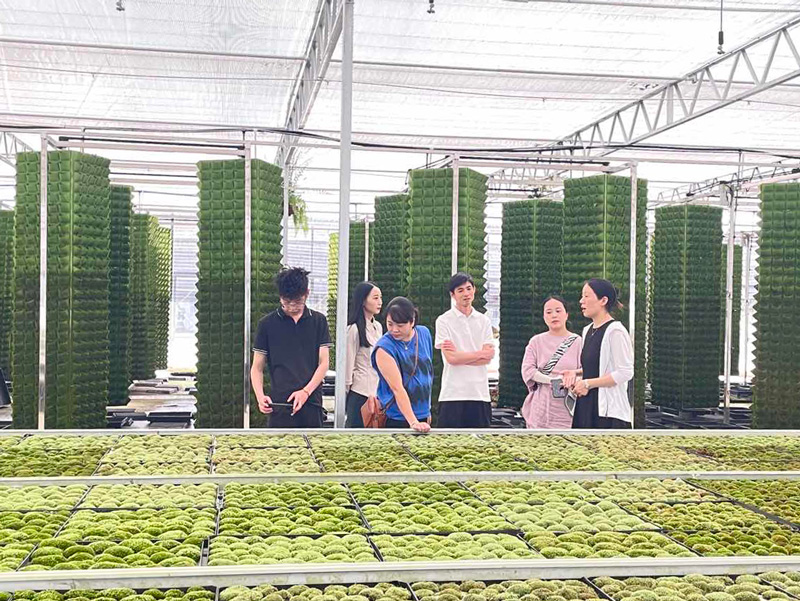 后備人才集中開展村主導產業苔蘚調研。景寧縣委宣傳部供圖