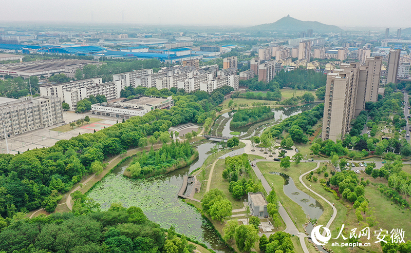 俯瞰蘆塘生態公園。人民網記者 張俊攝