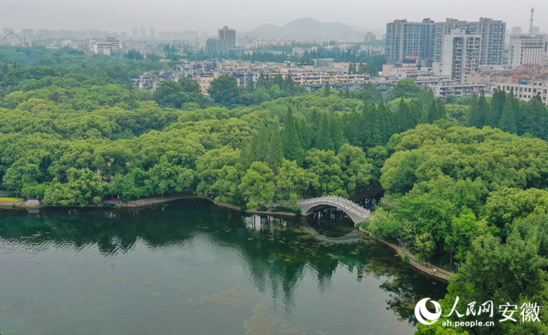 水清岸綠的馬鞍山雨山湖。人民網記者 李希蒙攝