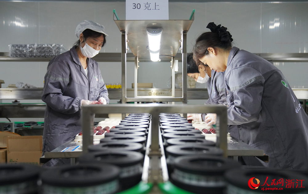 楊梅智慧分選車間內，工人正專注地對楊梅進行精挑細選。人民網 劉欣蔚攝