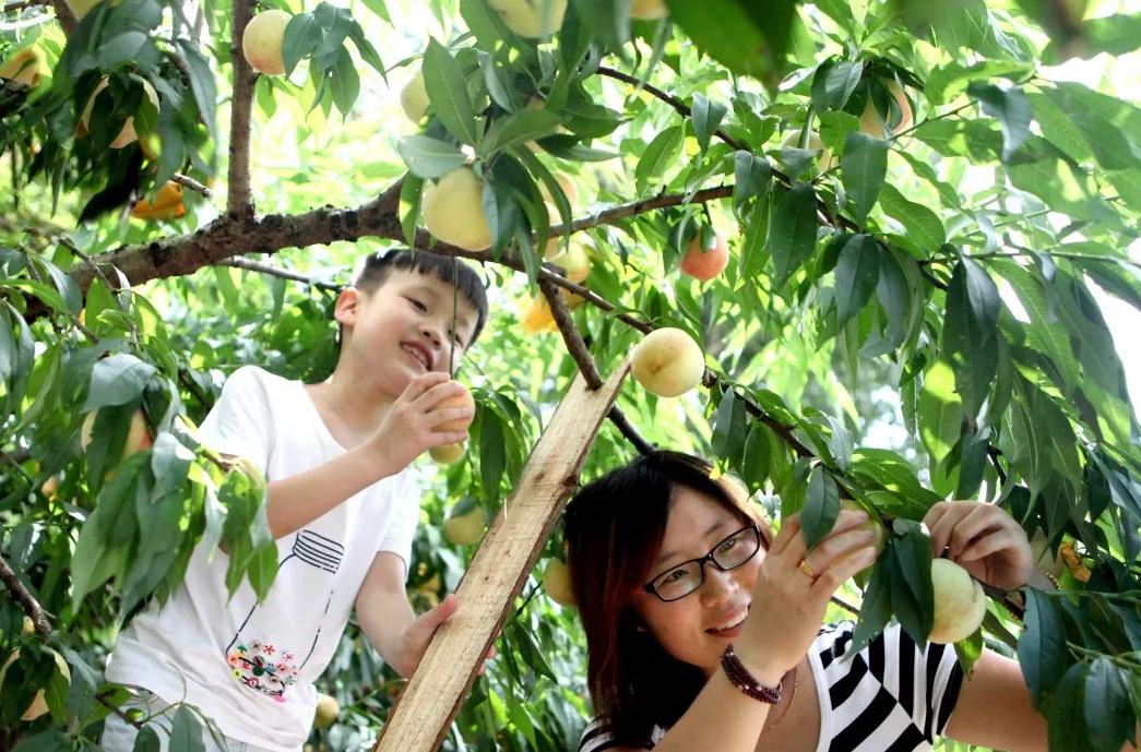 寧海山水鄉村，最好玩的時候到了！