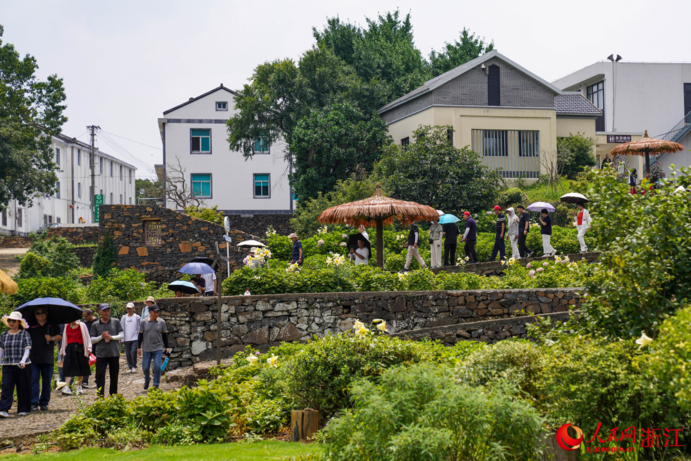 6月24日，寧波市寧?？h強蛟鎮駱家坑村，眾多市民和游客前來打卡游玩。該村以“藝術+賞花游”為切入口，深耕鄉村旅游，走出了一條“以花興旅、以旅富農”的鄉村振興新路徑。人民網 章勇濤攝