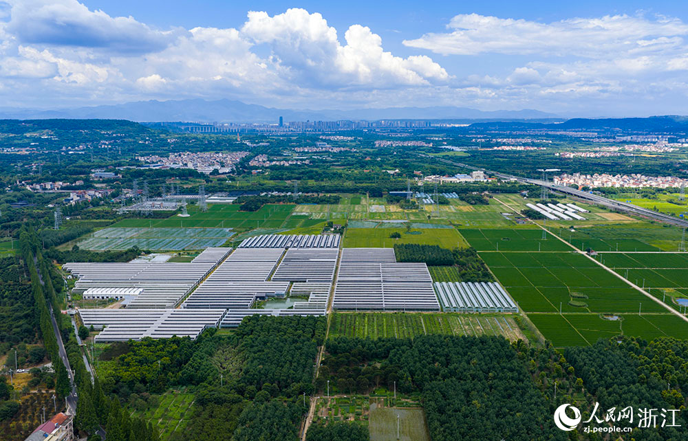 近日，在浙江省嵊州市甘霖鎮，成片的高標準農田排列整齊，與青山、村落、村道等交相輝映，勾勒出一幅美麗的田園風光畫卷。人民網 章勇濤攝