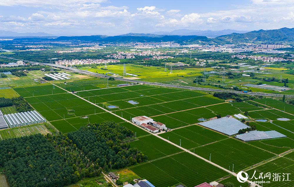 近日，在浙江省嵊州市甘霖鎮，成片的高標準農田排列整齊，與青山、村落、村道等交相輝映，勾勒出一幅美麗的田園風光畫卷。人民網 章勇濤攝