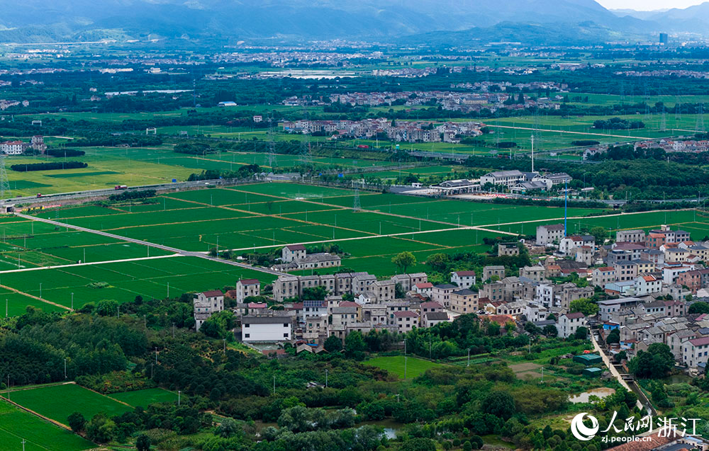 近日，在浙江省嵊州市甘霖鎮，成片的高標準農田排列整齊，與青山、村落、村道等交相輝映，勾勒出一幅美麗的田園風光畫卷。人民網 章勇濤攝