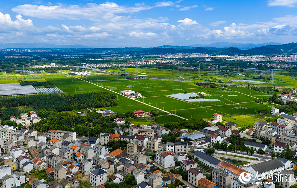 近日，在浙江省嵊州市甘霖鎮，成片的高標準農田排列整齊，與青山、村落、村道等交相輝映，勾勒出一幅美麗的田園風光畫卷。人民網 章勇濤攝