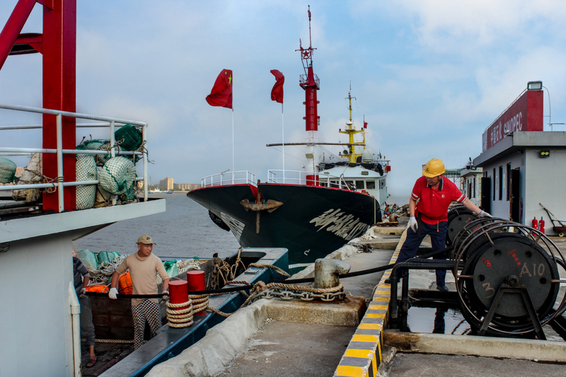 舟山馬峙供應站，邱海峰在為漁船加油。中國石化浙江分公司供圖