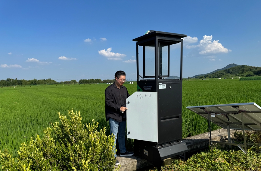 吳弘洋檢查智能蟲情測報燈使用情況。受訪者供圖。