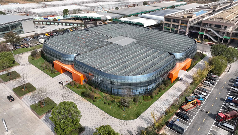 安徽向前丨花開肥西 苗木逢春