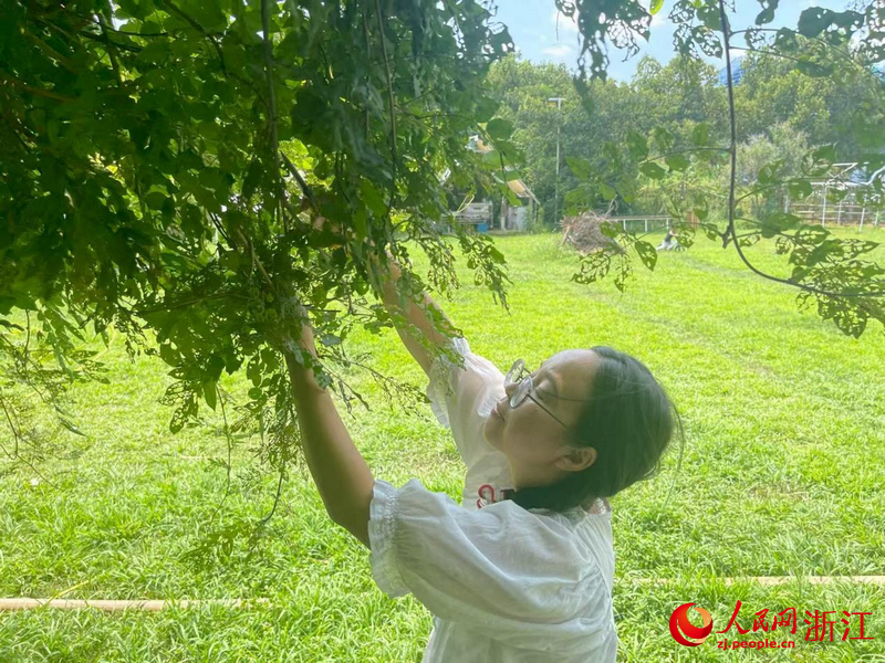 85后朱佳莉正在自家農場里修剪植物。人民網記者 王麗瑋攝