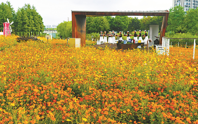 漫步花海享清涼