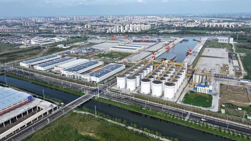 航拍黃碼港產業園。蔣童攝