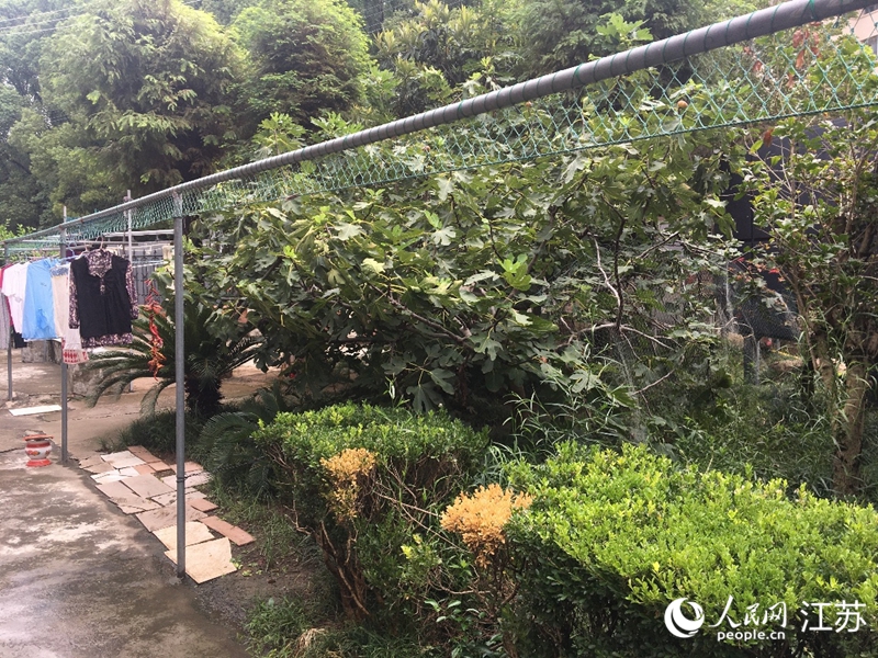 上岸漁民的漁網有了新用處。人民網記者 俞楊攝