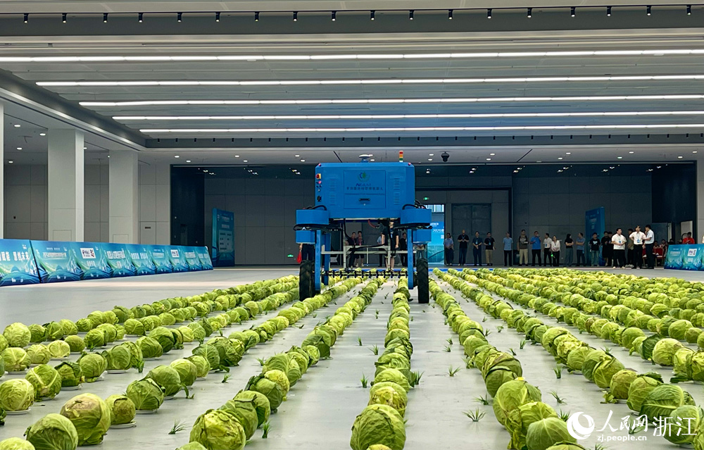 大賽現場。人民網記者 郭揚攝