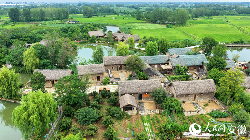 俯瞰小崗村宿附近的當年農家景區。人民網 郭昊攝