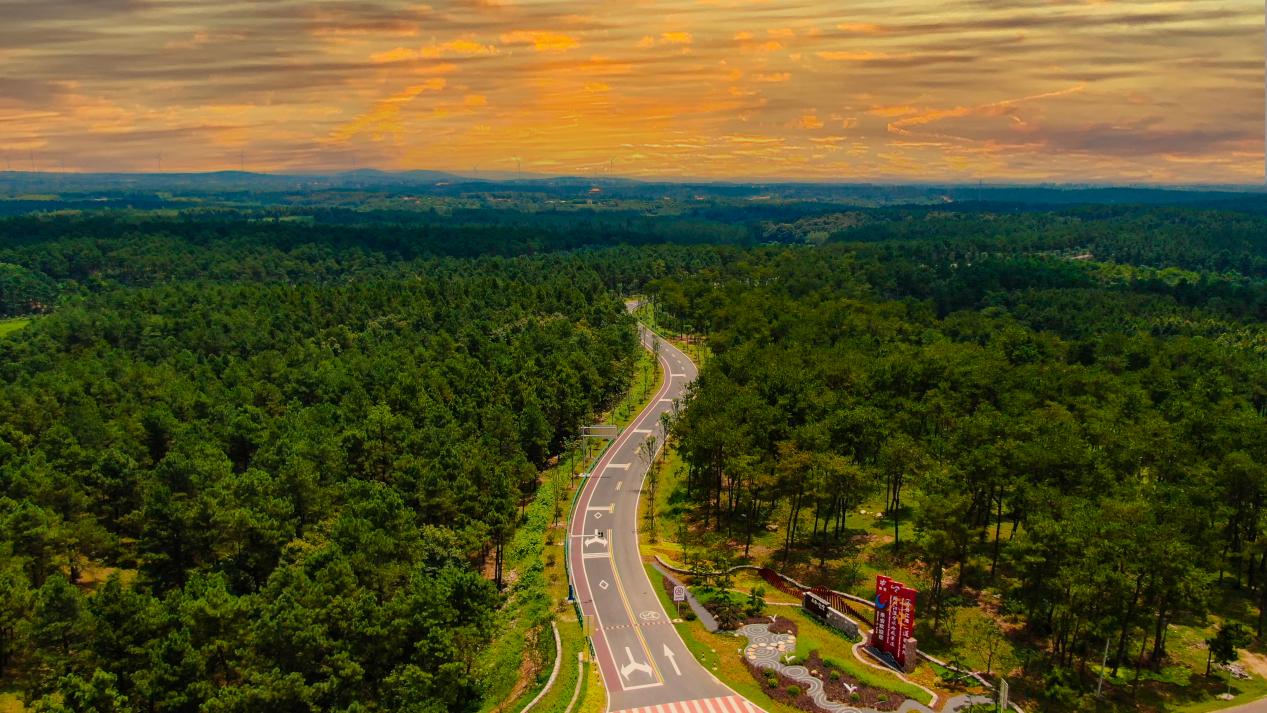 俯瞰滁州江淮分水嶺風景道。滁州市文旅局供圖