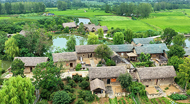 安徽滁州：嶺上生“金帶” 道旁富萬家