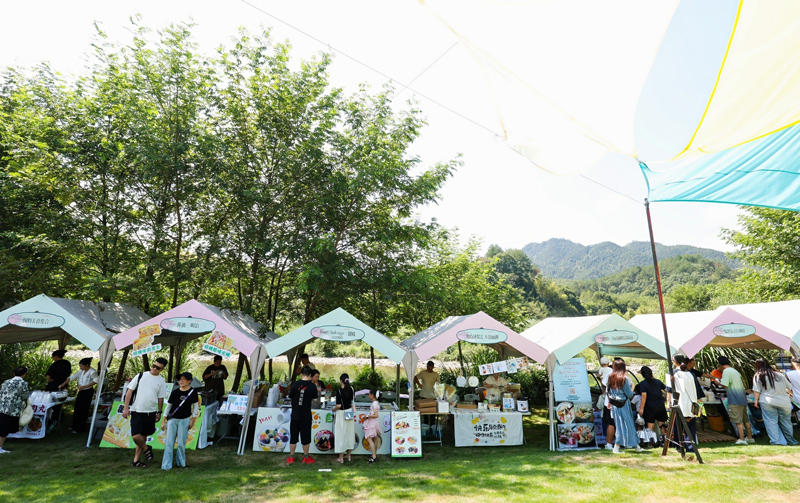 活動現場。蓮都區委宣傳部供圖