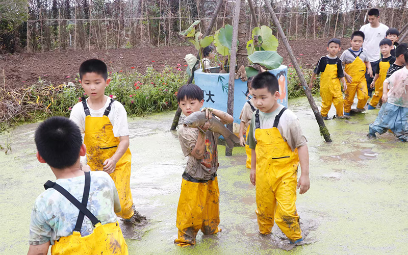 孩子在荷塘抓魚。胡陳鄉供圖