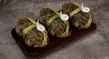 一只固城湖螃蟹的“數字”之旅