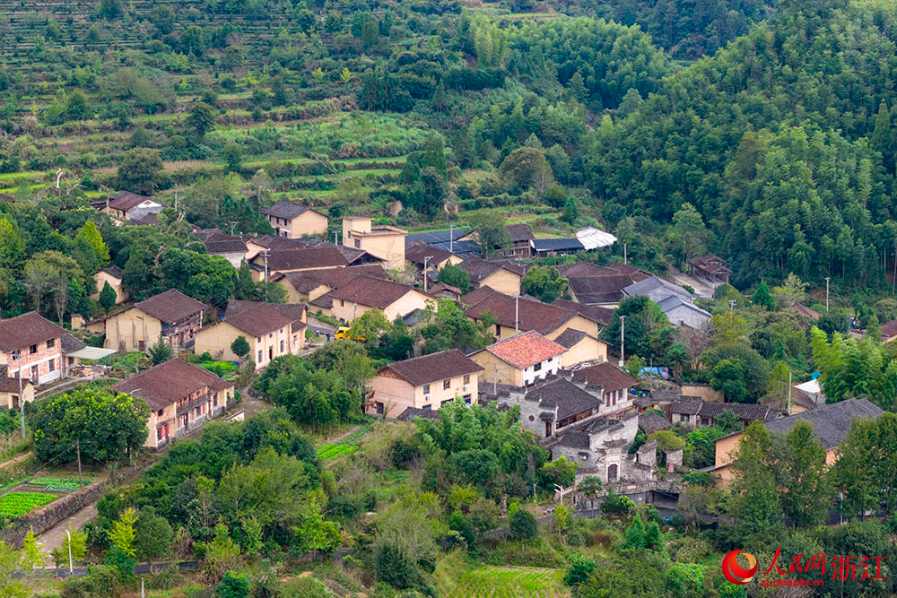 浙江省龍泉市爐地垟村。人民網 章勇濤攝