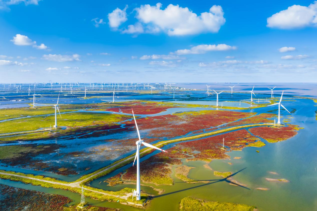 鹽城濱海濕地上的風力發電機組。孫華金攝