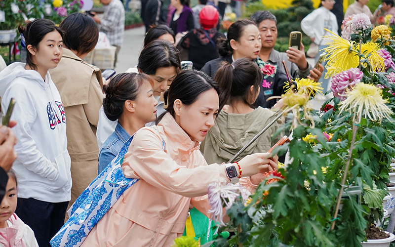 寧波市鎮海區第三十八屆金秋菊韻喜樂會舉行。招寶山街道供圖