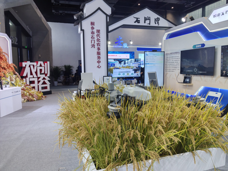 展區現場。桐鄉市委宣傳部供圖