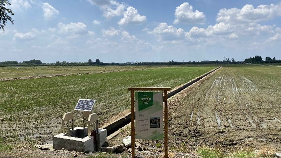 湯泉農場智慧大田。人民網 楊維瓊攝