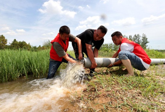 全椒縣西王鎮東張村，黨員志愿者幫助群眾提水抗旱。沈果攝